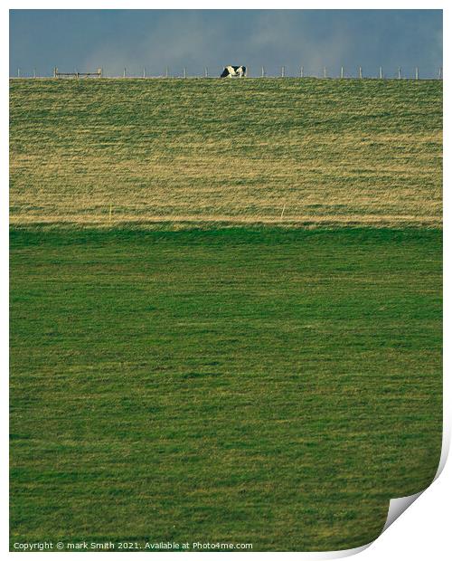 cow on a hill Print by mark Smith