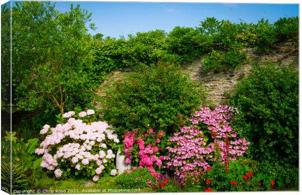 Summer walled garden border flowerbed Canvas Print by Chris Rose