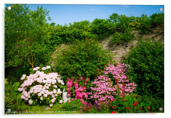Summer walled garden border flowerbed Acrylic by Chris Rose