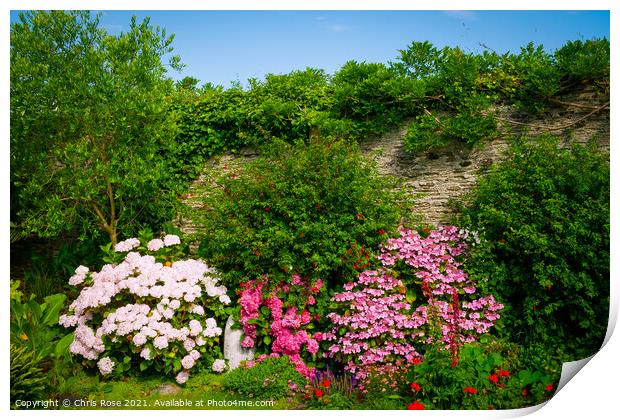 Summer walled garden border flowerbed Print by Chris Rose