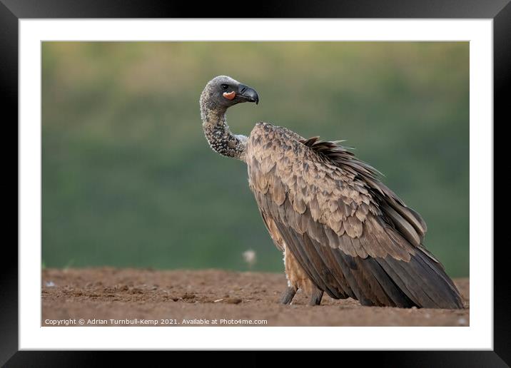 Where is it? Framed Mounted Print by Adrian Turnbull-Kemp