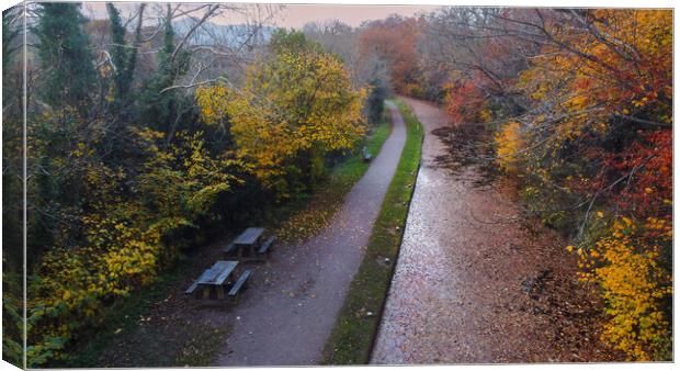Brecon Canal covered in Autumn leaves Canvas Print by Leighton Collins