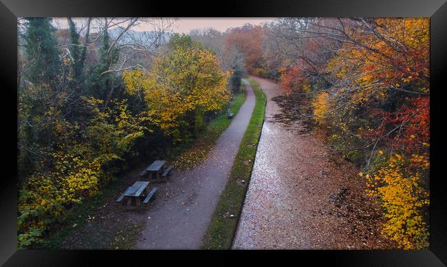Brecon Canal covered in Autumn leaves Framed Print by Leighton Collins