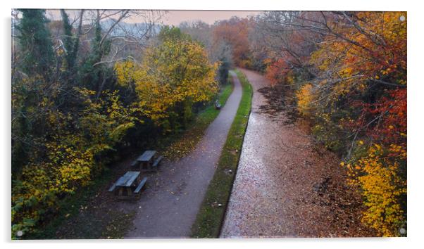 Brecon Canal covered in Autumn leaves Acrylic by Leighton Collins
