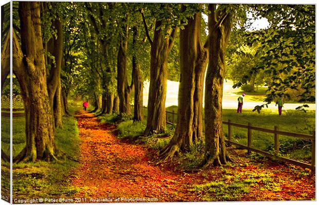 Autumn's Golden Tree lined Pathway Canvas Print by Peter Blunn