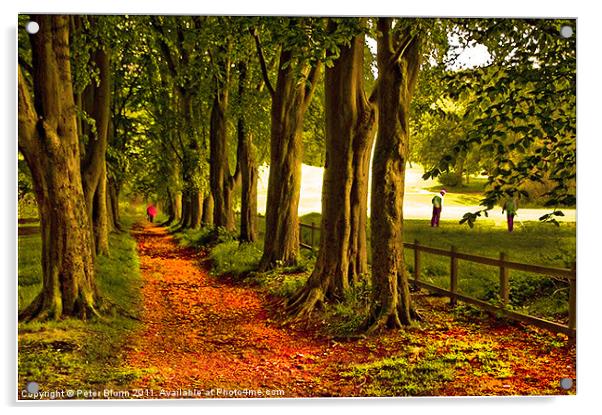 Autumn's Golden Tree lined Pathway Acrylic by Peter Blunn