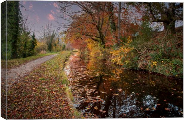 Glorious Autumn colours in Brecon Canvas Print by Leighton Collins