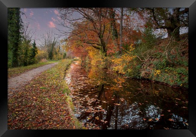 Glorious Autumn colours in Brecon Framed Print by Leighton Collins