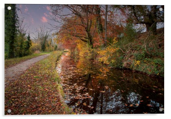 Glorious Autumn colours in Brecon Acrylic by Leighton Collins