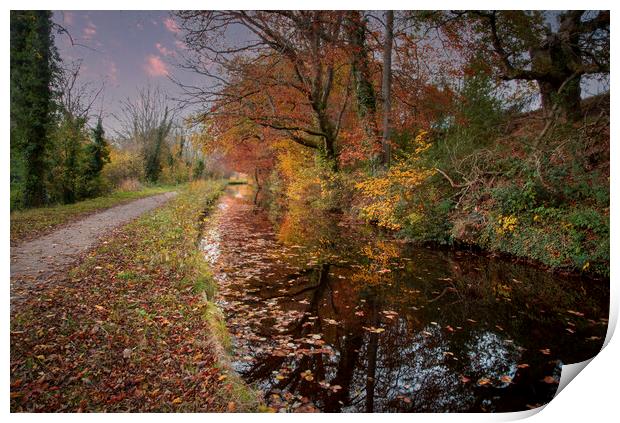 Glorious Autumn colours in Brecon Print by Leighton Collins