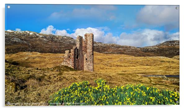 Ardvreck Castle - Sutherland - Scotland Acrylic by Peter Gaeng