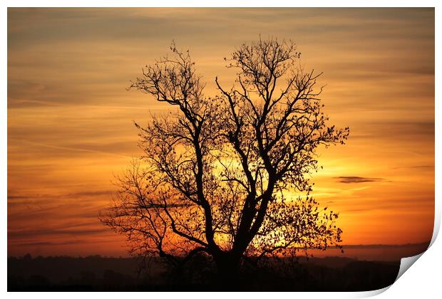 Cotswold Sunrise Print by Simon Johnson