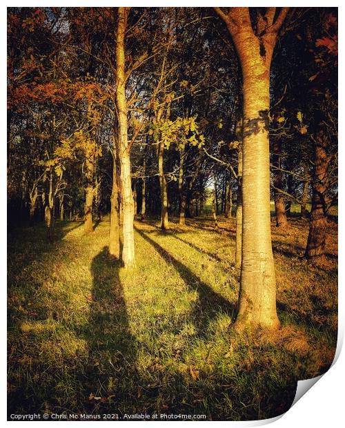 Enchanting Autumn Forest Sunset Print by Chris Mc Manus