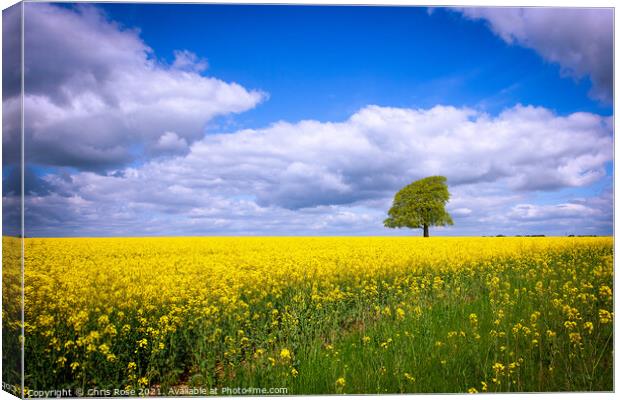 One tree on the horizon landscape Canvas Print by Chris Rose