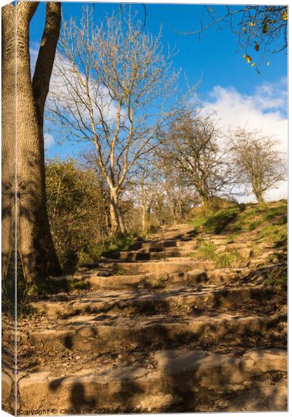 Up the steps at Dovedale Canvas Print by Clive Wells