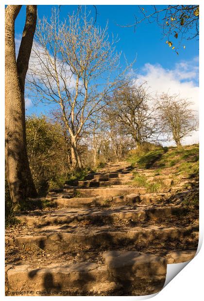 Up the steps at Dovedale Print by Clive Wells