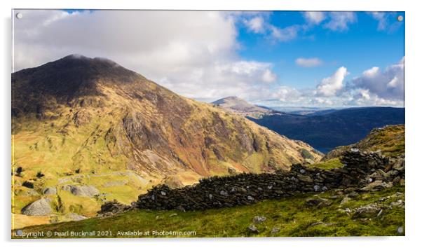 Y Lliwedd Mountain from Yr Aran Snowdonia Acrylic by Pearl Bucknall