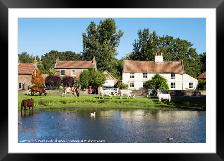Nun Monkton Village Pond Yorkshire Framed Mounted Print by Pearl Bucknall