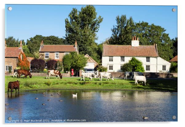 Nun Monkton Village Pond Yorkshire Acrylic by Pearl Bucknall