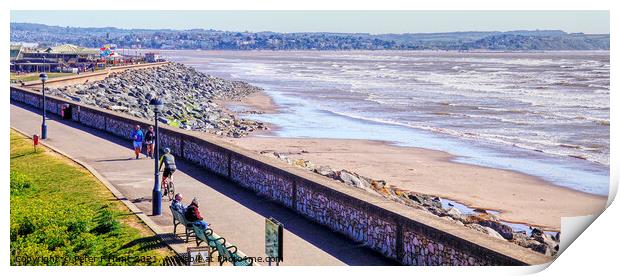 Dawlish Warren And Leisure Complex Print by Peter F Hunt