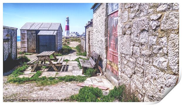 Portland Bill Fishermen's Huts And Lighthouse Print by Peter F Hunt