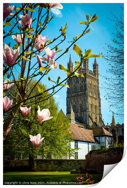 Gloucester Cathedral Print by Chris Rose