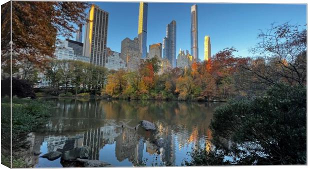 Fall in central park Canvas Print by Daryl Pritchard videos