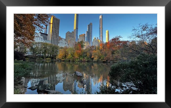 Fall in central park Framed Mounted Print by Daryl Pritchard videos