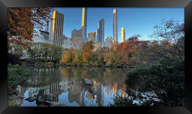 Fall in central park Framed Print by Daryl Pritchard videos