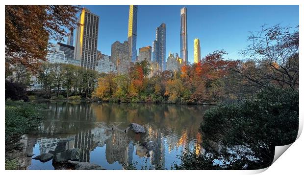 Fall in central park Print by Daryl Pritchard videos
