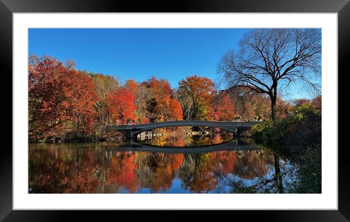Bow bridge Central park Framed Mounted Print by Daryl Pritchard videos