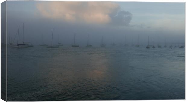 Boats In The Mist Canvas Print by Dave Bell