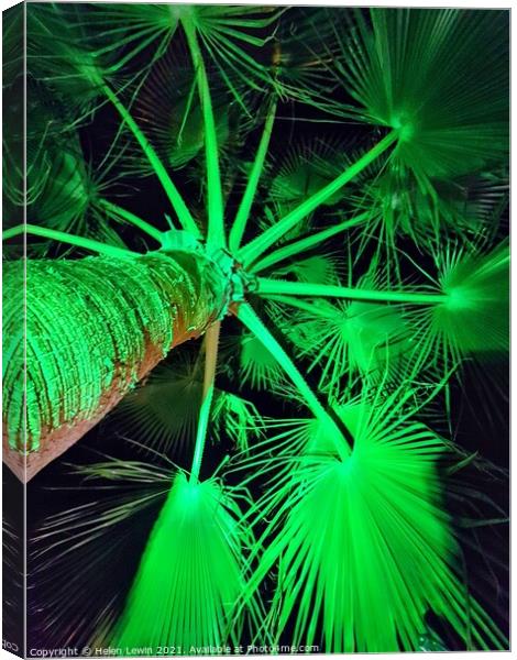 A palm above  Canvas Print by Pelin Bay