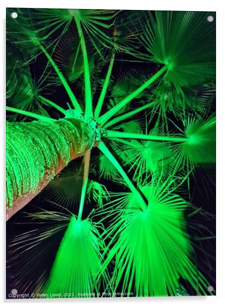A palm above  Acrylic by Pelin Bay