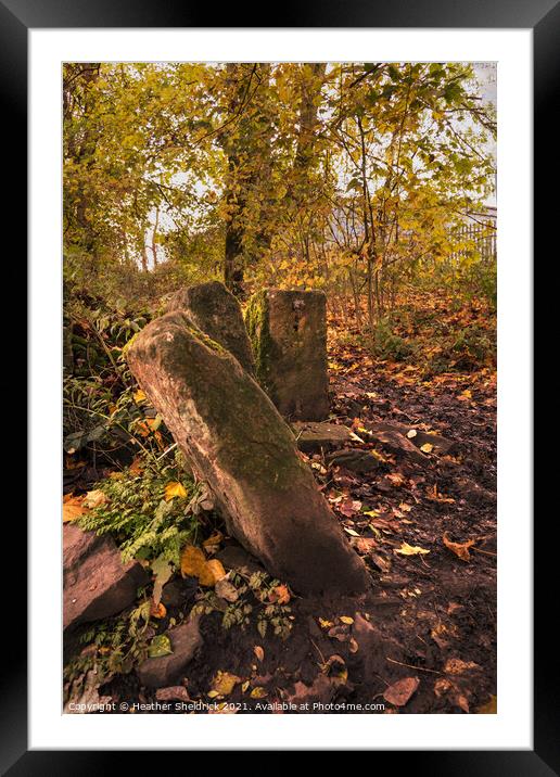 Autumn Woodland Framed Mounted Print by Heather Sheldrick