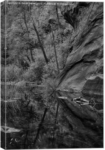 Oak Creek Canyon, Sedona (mono) Canvas Print by Derek Daniel