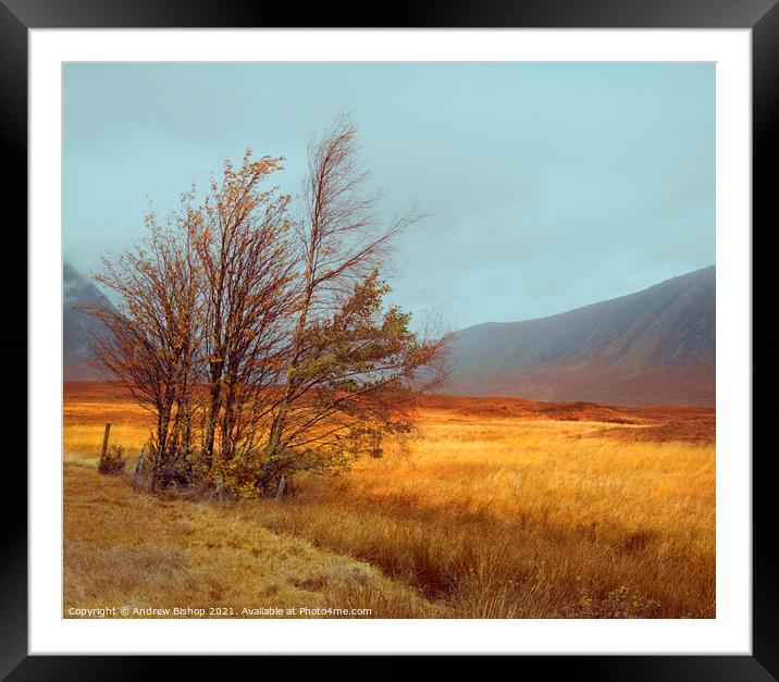 The fall of autumn Framed Mounted Print by Andrew Bishop