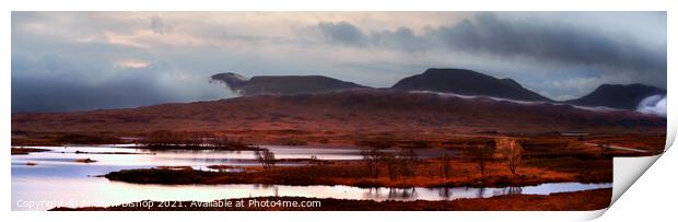 Marshes Print by Andrew Bishop