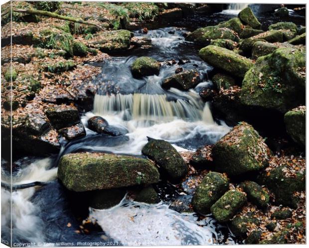 Water and Rocks. Canvas Print by Tony Williams. Photography email tony-williams53@sky.com