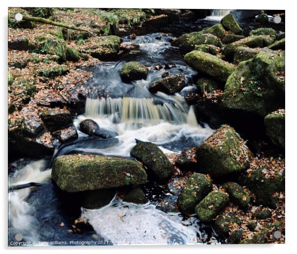 Water and Rocks. Acrylic by Tony Williams. Photography email tony-williams53@sky.com