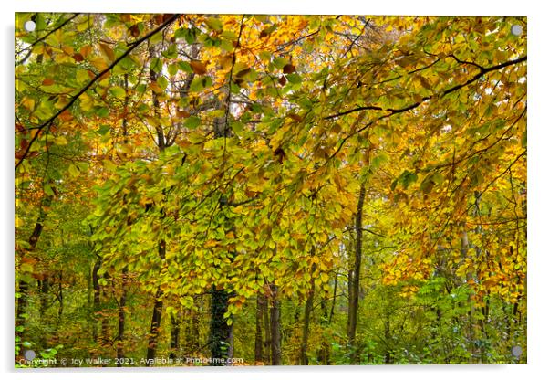 Beautiful autumn leaves  Acrylic by Joy Walker