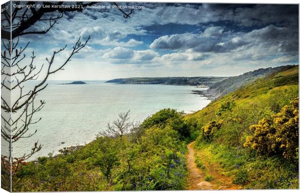 "Serene Path to Coastal Bliss" Canvas Print by Lee Kershaw