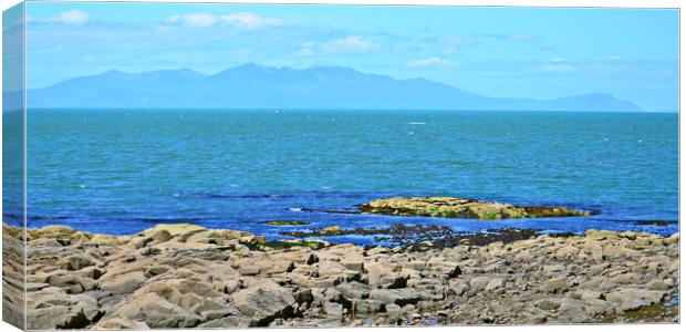 Isle of Arran viewed from Troon Canvas Print by Allan Durward Photography