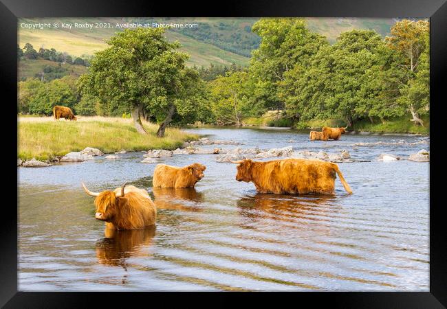 Highland Cattle Glen Lyon Scotland Framed Print by Kay Roxby