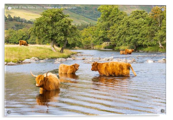 Highland Cattle Glen Lyon Scotland Acrylic by Kay Roxby