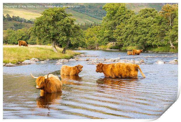 Highland Cattle Glen Lyon Scotland Print by Kay Roxby