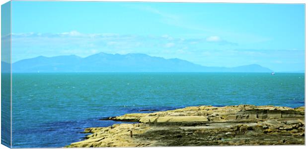 Rocky Troon view of Arran Canvas Print by Allan Durward Photography