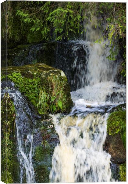 Waterfall Glenmalure Wicklow Ireland Canvas Print by Phil Crean