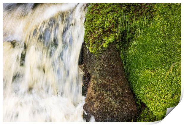 Waterfall moss abstract Ireland Print by Phil Crean