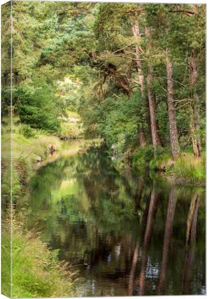 Glendasan river Wicklow Ireland Canvas Print by Phil Crean